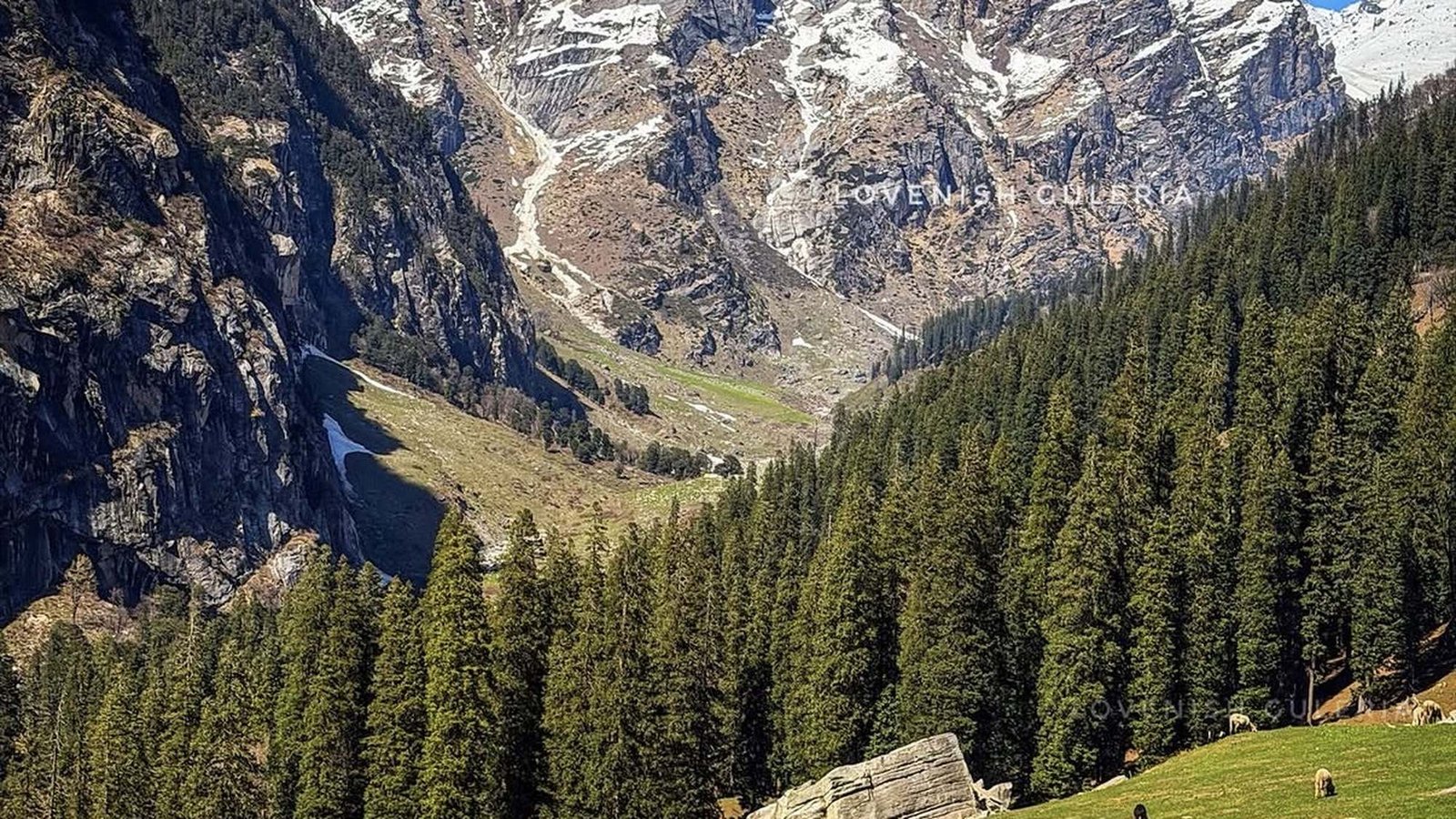 Classic Manali