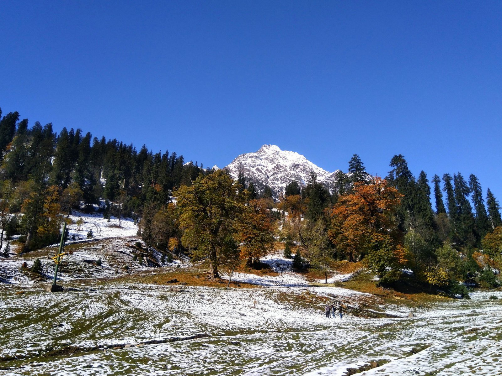 Rohtang Manali