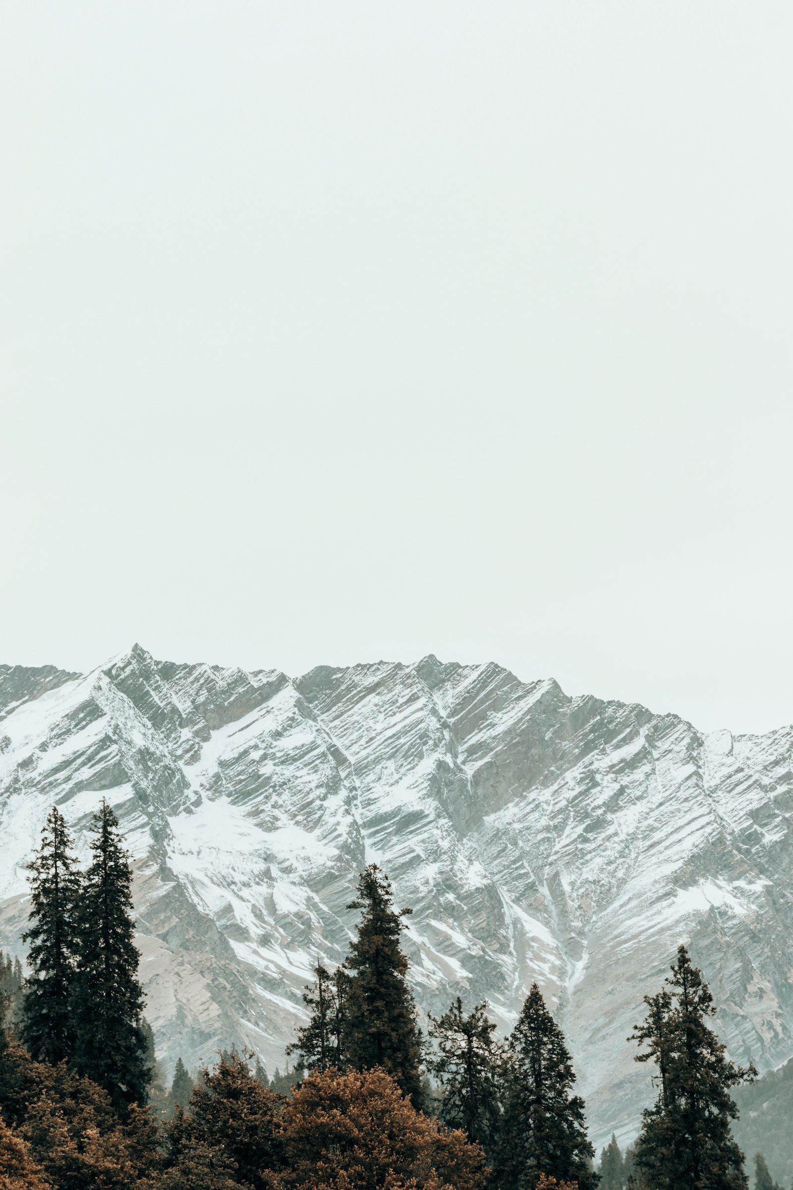 Baralacha Manali